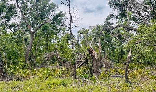 0.62 Acres of Land for Sale in Jasper, Florida