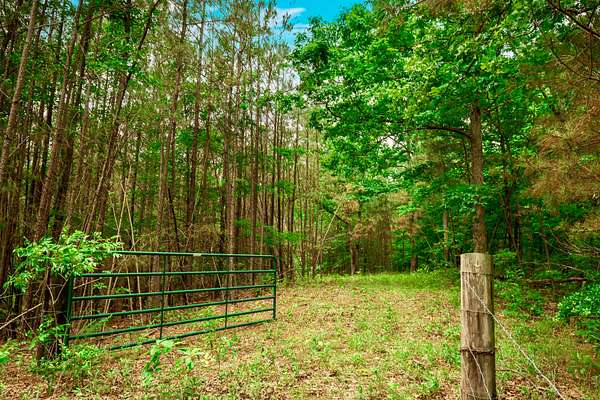 37 Acres of Land for Sale in Beech Bluff, Tennessee
