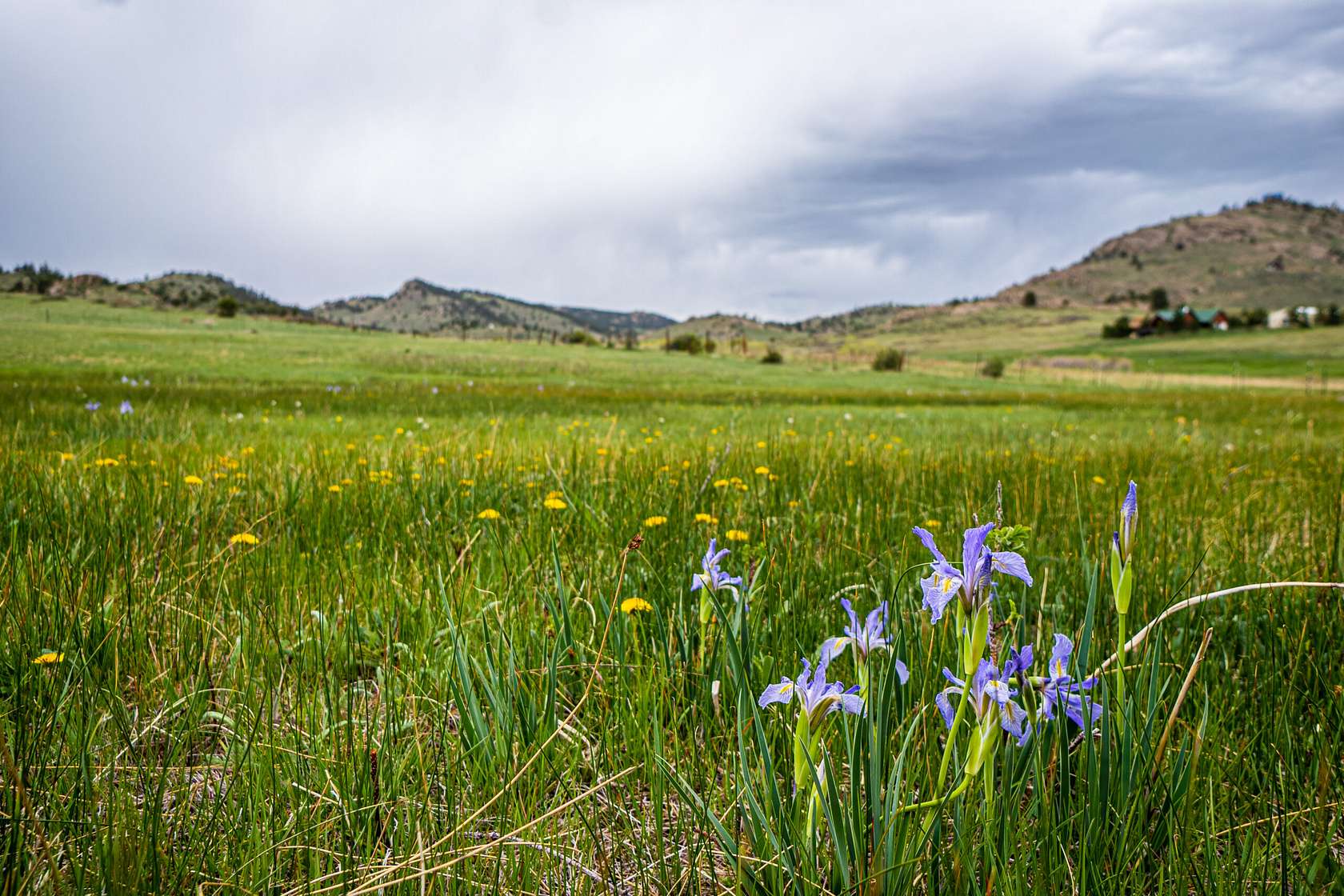 23.8 Acres of Land for Sale in Livermore, Colorado