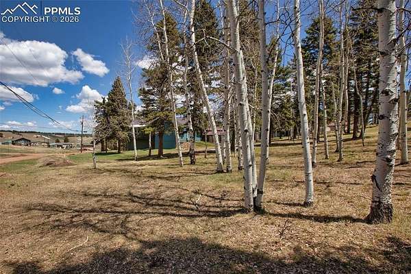 0.4 Acres of Residential Land for Sale in Divide, Colorado