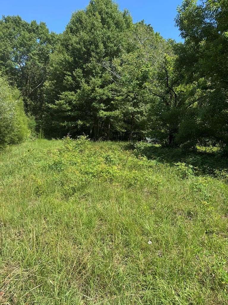 Residential Land for Sale in Georgetown, Georgia