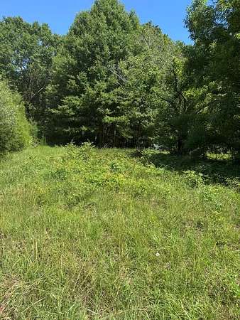 Residential Land for Sale in Georgetown, Georgia