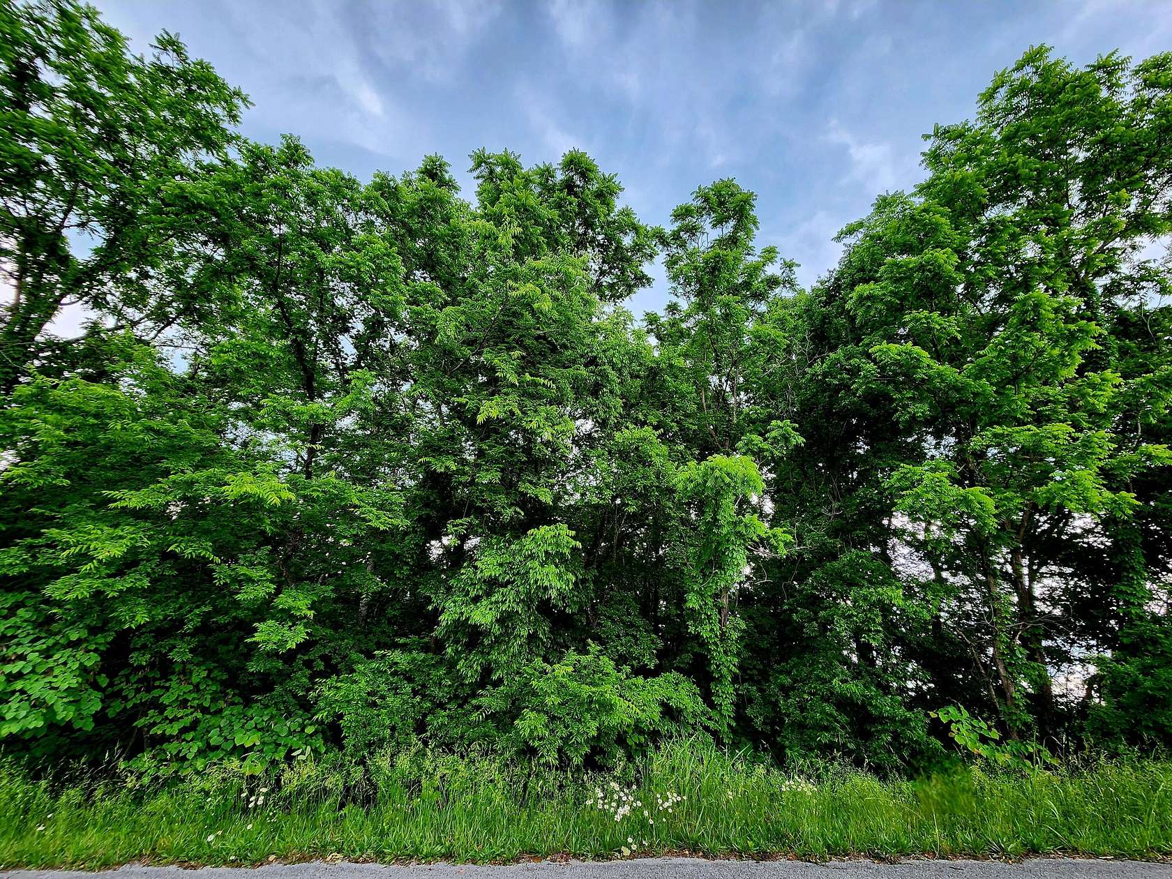 0.79 Acres of Residential Land for Sale in Dayton, Tennessee