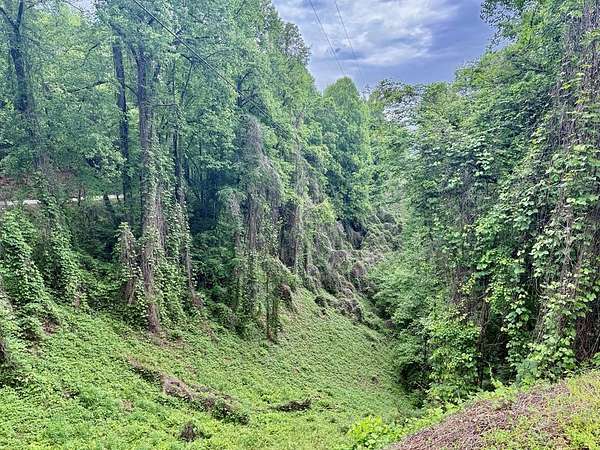 1.28 Acres of Residential Land for Sale in Bryson City, North Carolina