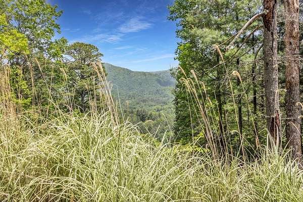 98 Acres of Recreational Land for Sale in Blairsville, Georgia