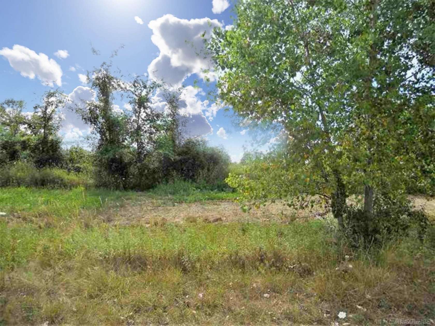 10 Acres of Land for Sale in Imlay City, Michigan