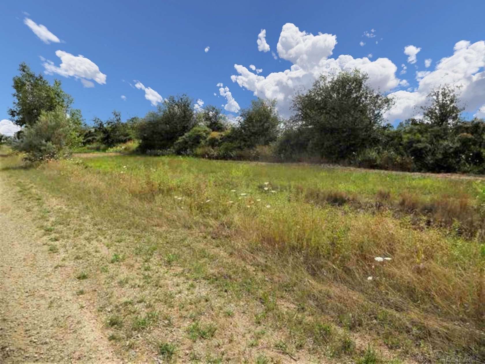 10 Acres of Land for Sale in Imlay City, Michigan