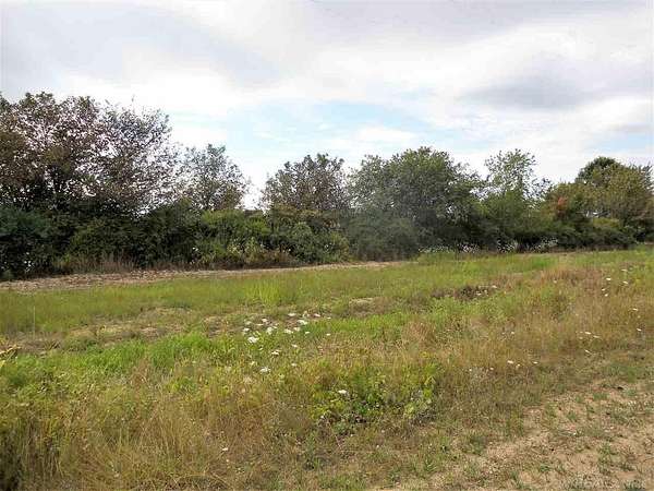 10 Acres of Land for Sale in Imlay City, Michigan