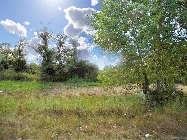 10 Acres of Land for Sale in Imlay City, Michigan
