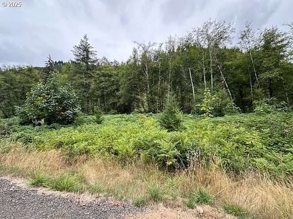 11 Acres of Recreational Land for Sale in Ariel, Washington