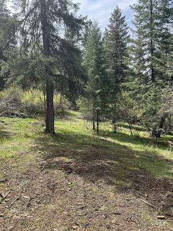 2.7 Acres of Residential Land for Sale in Stites, Idaho