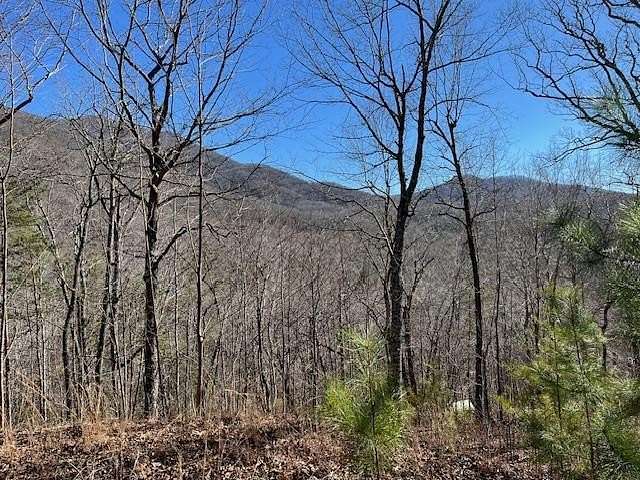 0.59 Acres of Land for Sale in Hiawassee, Georgia