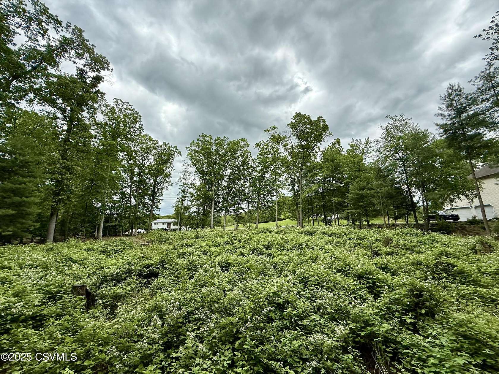 0.84 Acres of Residential Land for Sale in Paxinos, Pennsylvania