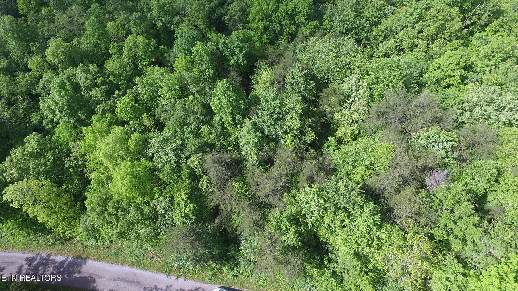 0.25 Acres of Land for Sale in Crossville, Tennessee