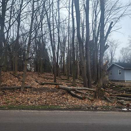 0.27 Acres of Residential Land for Sale in Jackson, Michigan