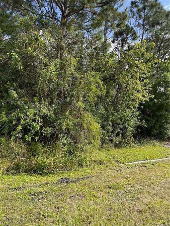 0.24 Acres of Land for Sale in Palm Bay, Florida