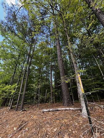 10 Acres of Recreational Land for Sale in Coldwater, Mississippi