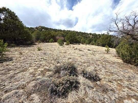 9 Acres of Residential Land for Sale in Westcliffe, Colorado