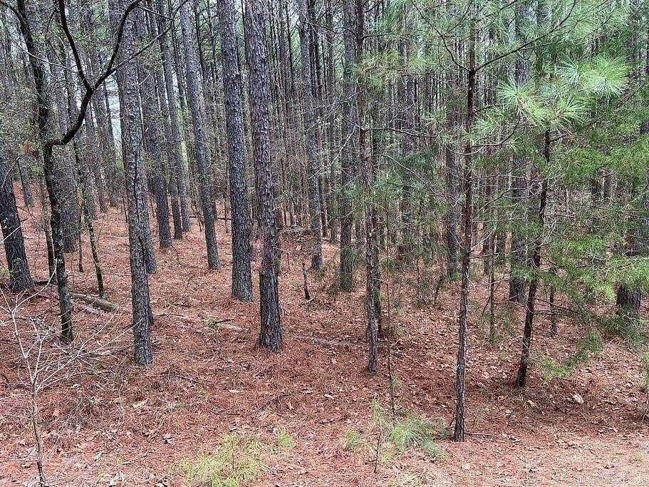 0.3 Acres of Residential Land for Sale in Hot Springs Village, Arkansas