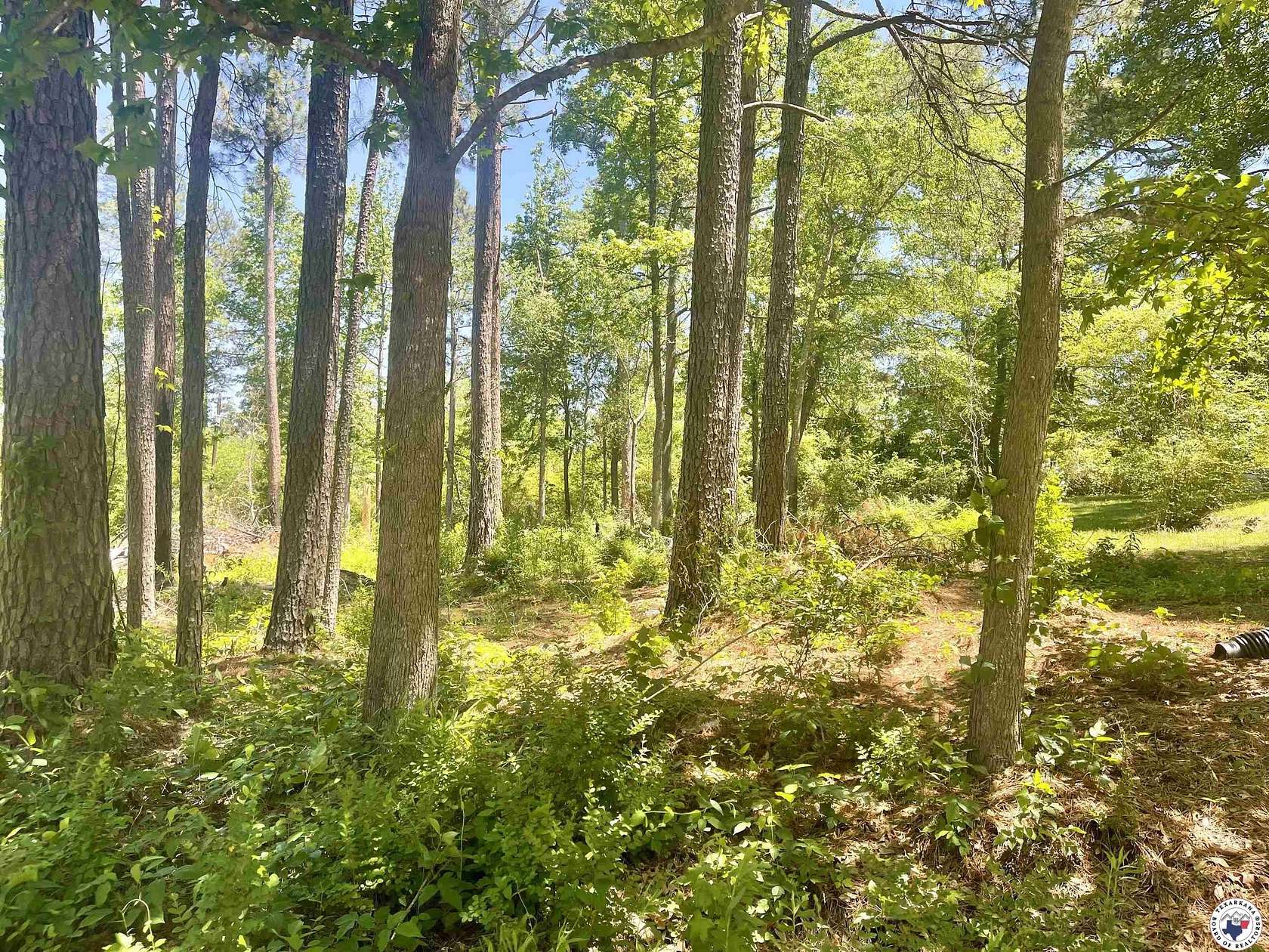 0.44 Acres of Residential Land for Sale in Atlanta, Texas