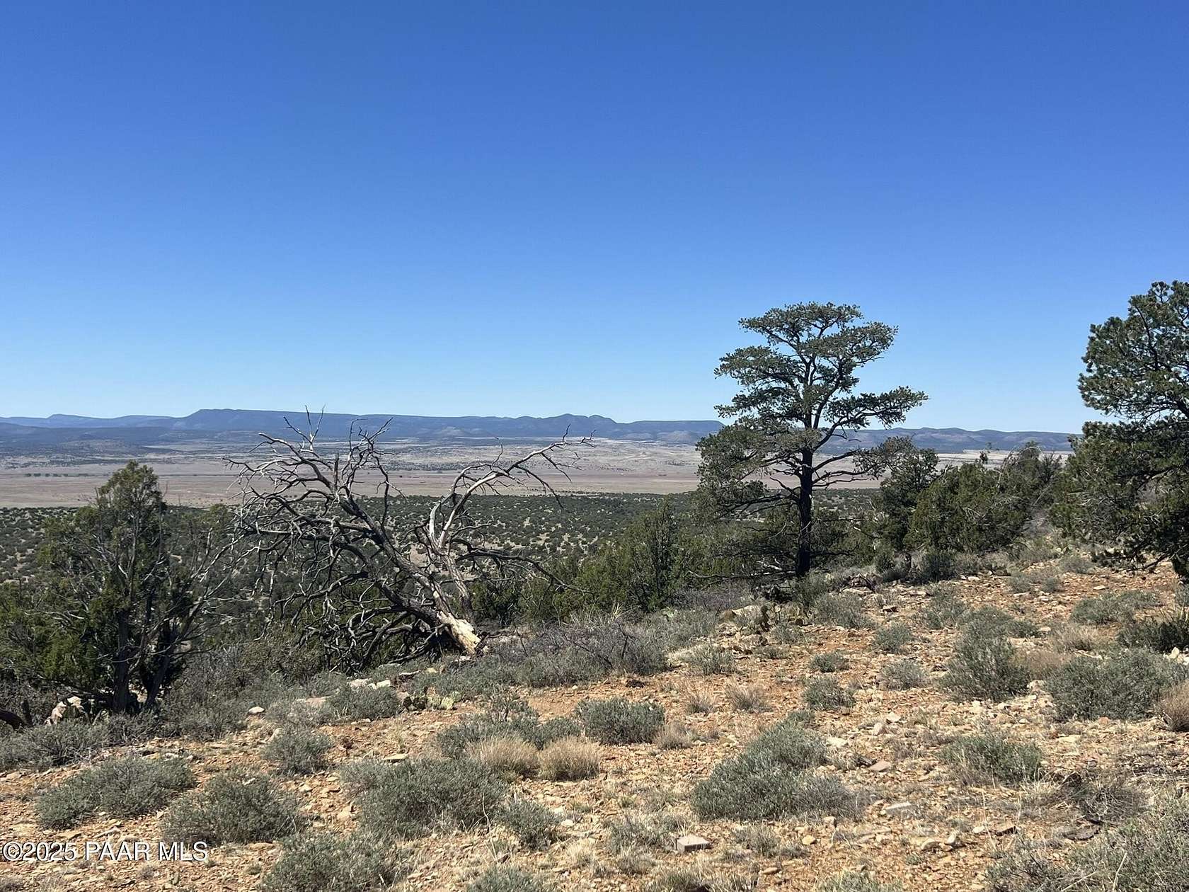 40 Acres of Land for Sale in Ash Fork, Arizona