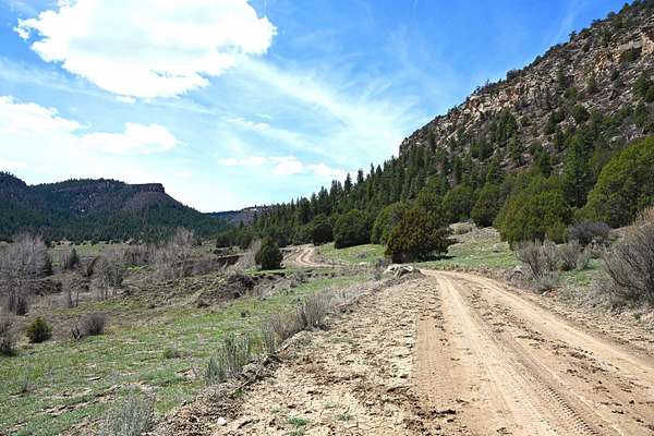 80 Acres of Recreational Land for Sale in Lumberton, New Mexico
