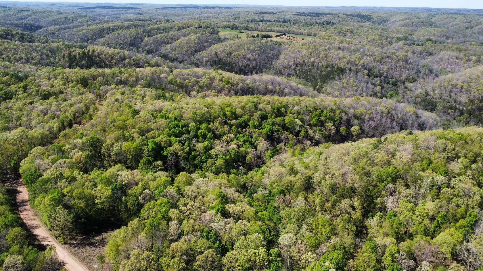 38.9 Acres of Recreational Land for Sale in Mountain View, Arkansas