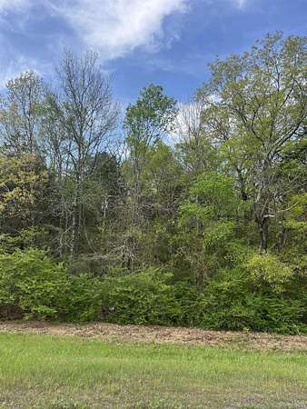 0.73 Acres of Residential Land for Sale in Clinton, Arkansas
