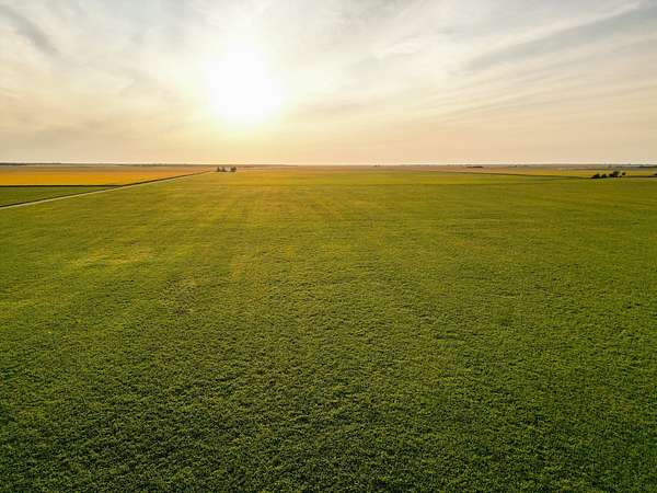 83 Acres of Recreational Land & Farm for Sale in Raritan, Illinois