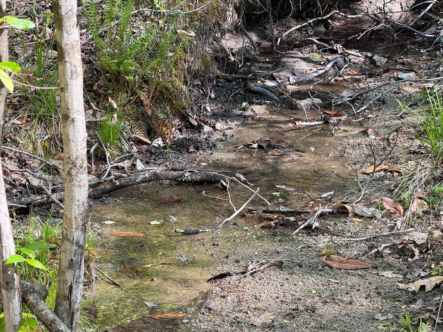 120 Acres of Recreational Land for Sale in Jacksons' Gap, Alabama