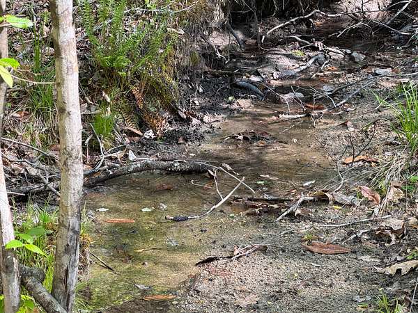 120 Acres of Recreational Land for Sale in Jacksons' Gap, Alabama