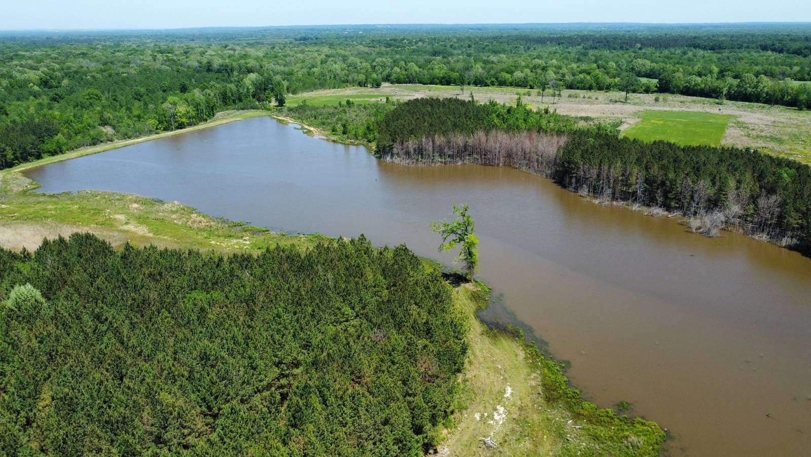 800 Acres of Recreational Land & Farm for Sale in Gordonsville, Alabama