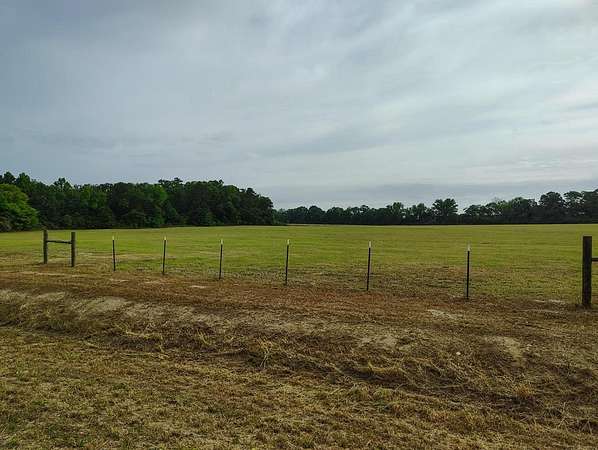 16.8 Acres of Land for Sale in Ashford, Alabama