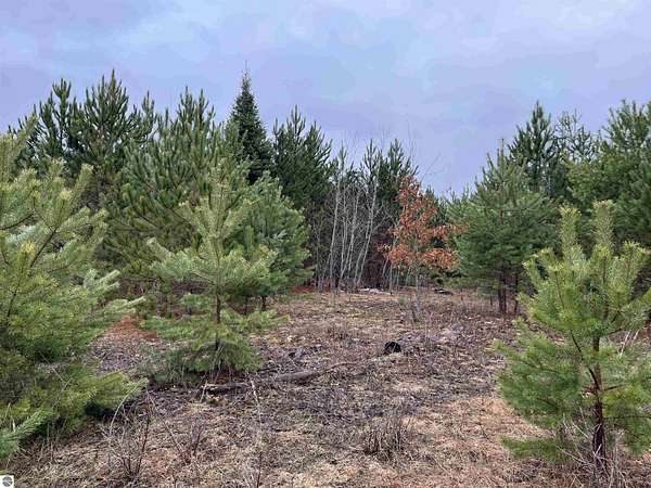 10 Acres of Land for Sale in Kingsley, Michigan