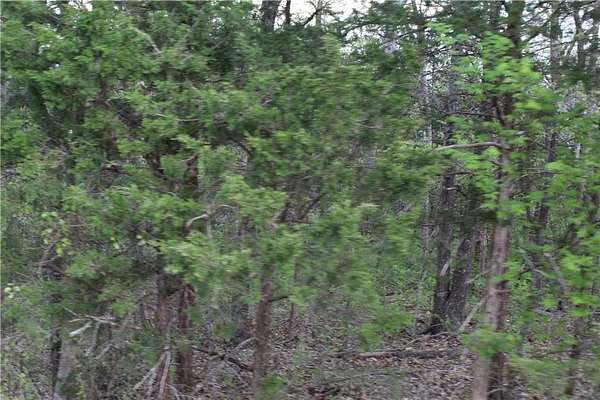 9.76 Acres of Residential Land for Sale in Taneyville, Missouri