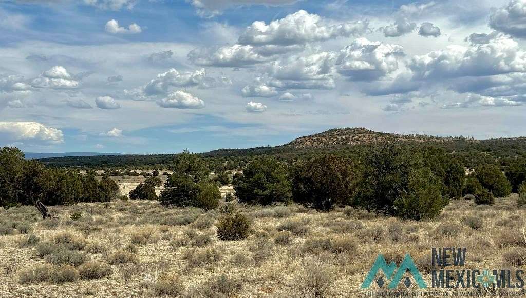 21.4 Acres of Recreational Land for Sale in Pinehill, New Mexico