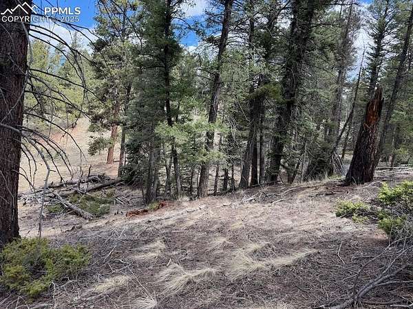 0.54 Acres of Land for Sale in Florissant, Colorado