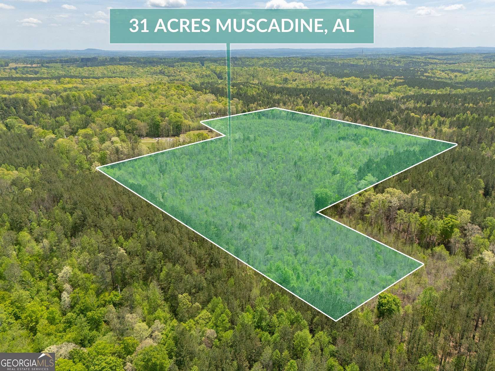 31 Acres of Recreational Land for Sale in Muscadine, Alabama