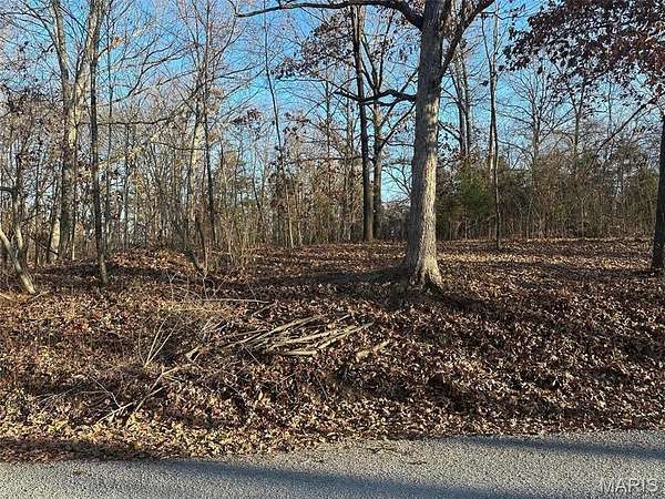 0.3 Acres of Residential Land for Sale in Creal Springs, Illinois