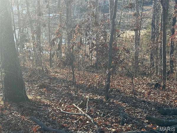 0.31 Acres of Residential Land for Sale in Creal Springs, Illinois