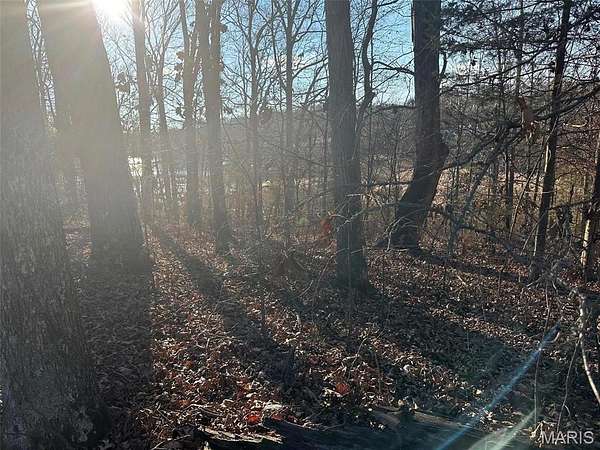 0.29 Acres of Residential Land for Sale in Creal Springs, Illinois