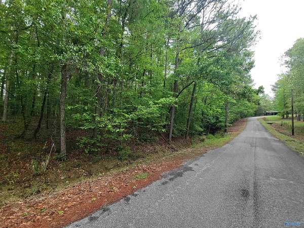 2.5 Acres of Residential Land for Sale in Gadsden, Alabama