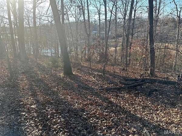 0.32 Acres of Residential Land for Sale in Creal Springs, Illinois