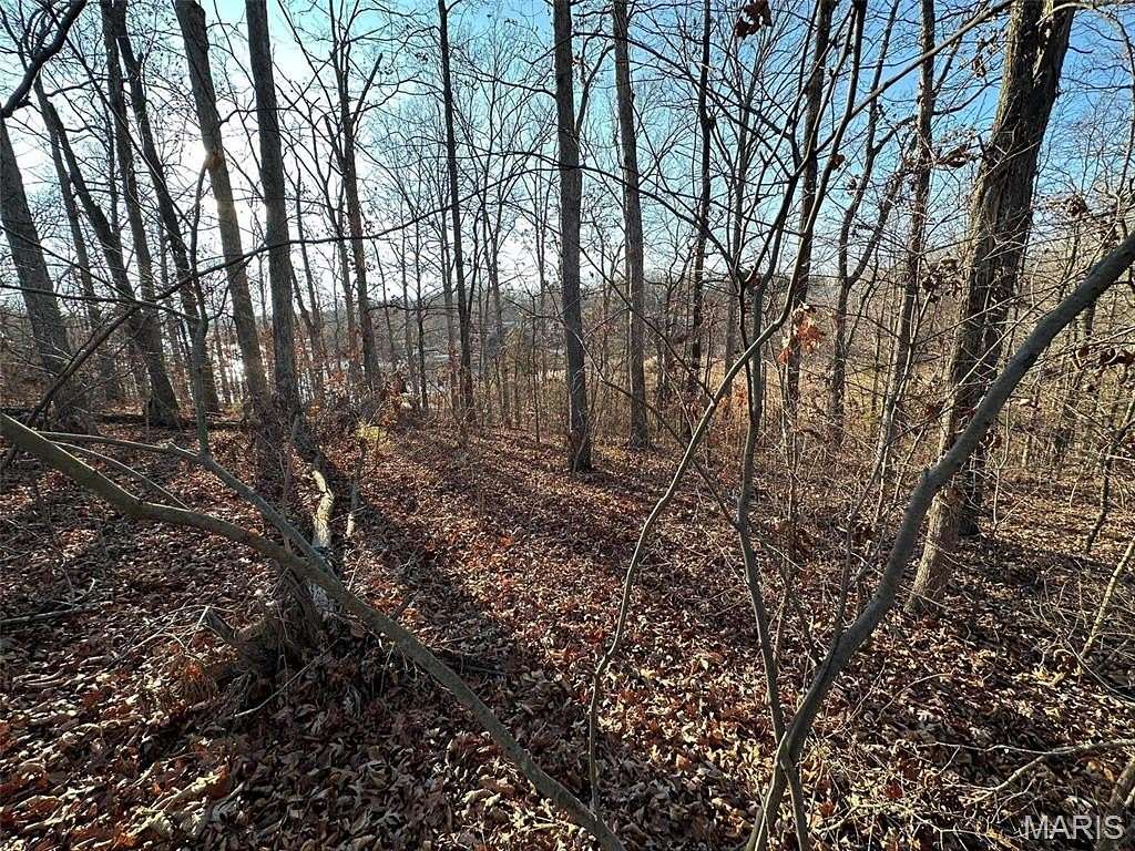 0.28 Acres of Residential Land for Sale in Creal Springs, Illinois