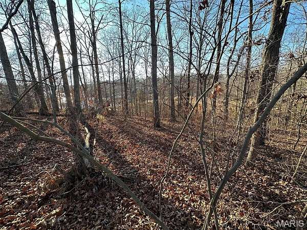 0.28 Acres of Residential Land for Sale in Creal Springs, Illinois