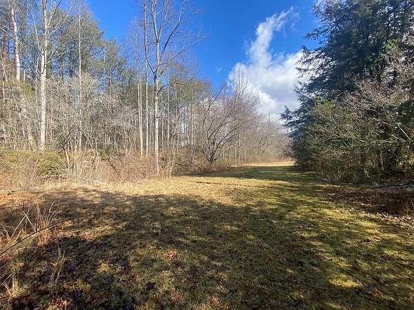 2 Acres of Residential Land for Sale in Millshoal Township, North Carolina
