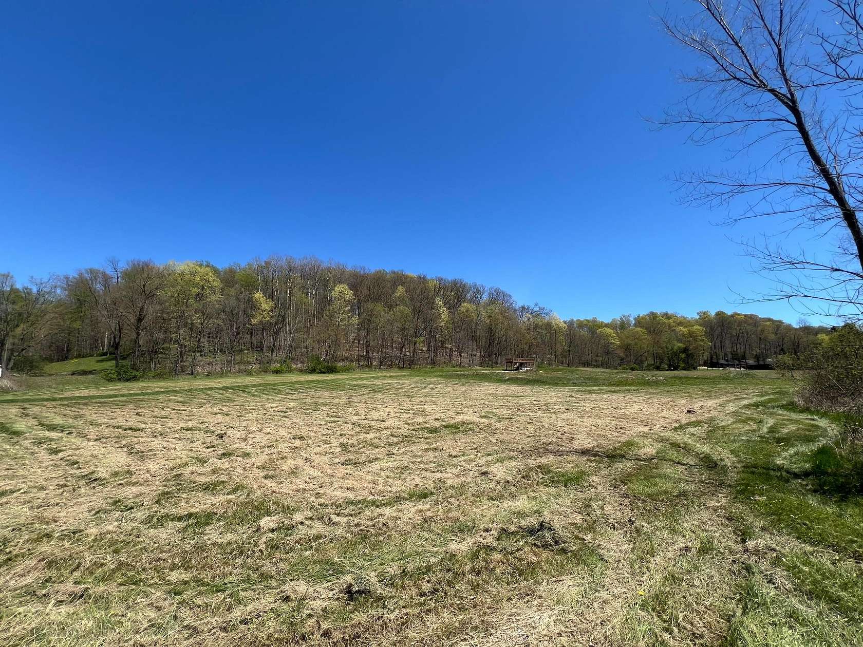 8.5 Acres of Residential Land for Sale in Bellville, Ohio