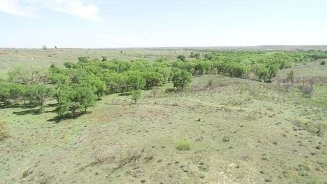 320 Acres of Recreational Land for Sale in Quail, Texas