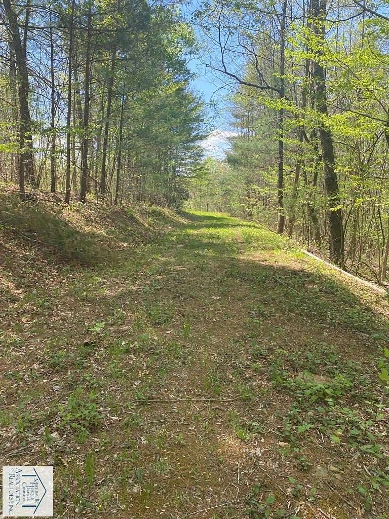 5.56 Acres of Residential Land for Sale in Woolwine, Virginia