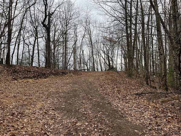 50.8 Acres of Recreational & Residential Land for Sale in Hayesville, North Carolina